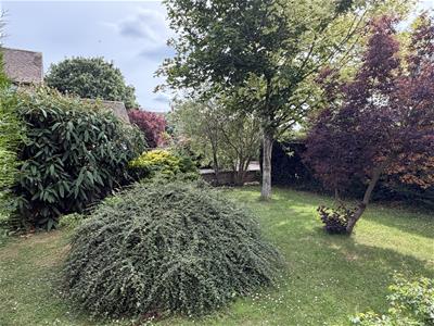 Picture 19